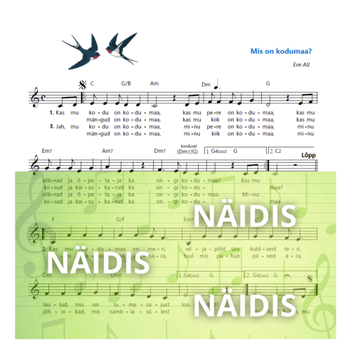 Mis-on-kodumaa-NAIDIS